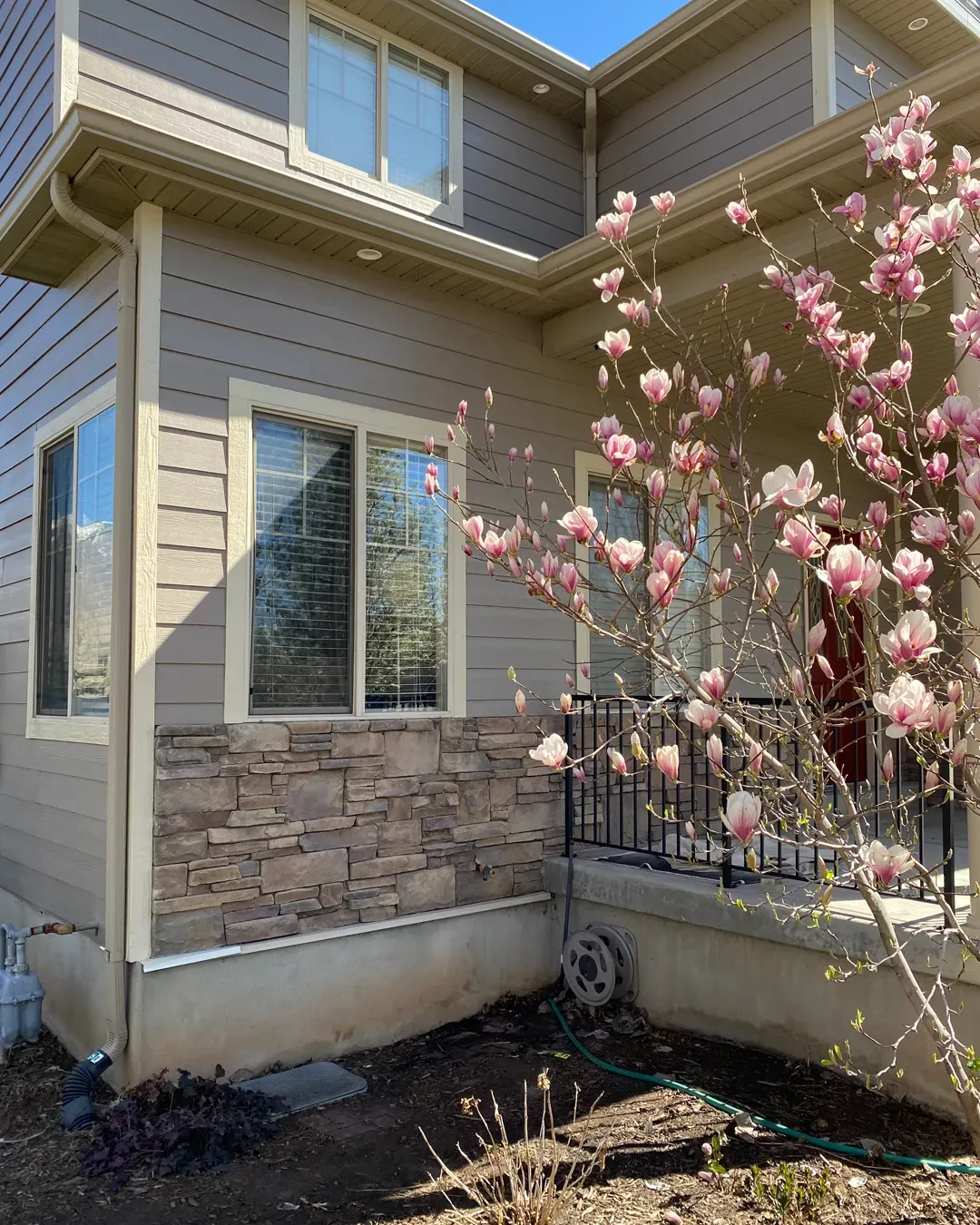 Gray siding and flowering magnolia in Layton, Utah
